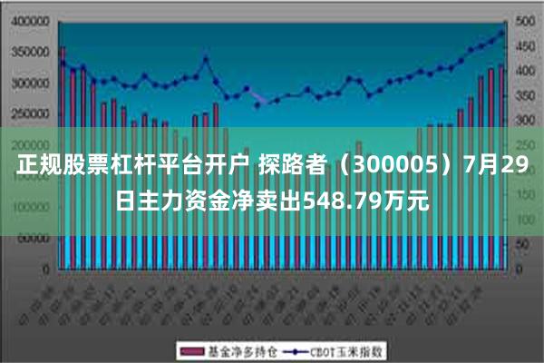 正规股票杠杆平台开户 探路者（300005）7月29日主力资金净卖出548.79万元