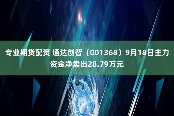 专业期货配资 通达创智（001368）9月18日主力资金净卖