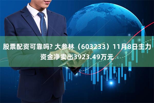 股票配资可靠吗? 大参林（603233）11月8日主力资金净