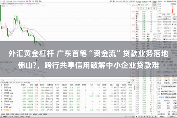 外汇黄金杠杆 广东首笔“资金流”贷款业务落地佛山?，跨行共享