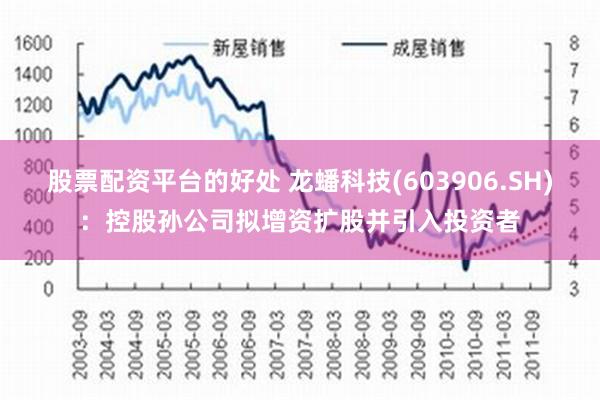 股票配资平台的好处 龙蟠科技(603906.SH)：控股孙公