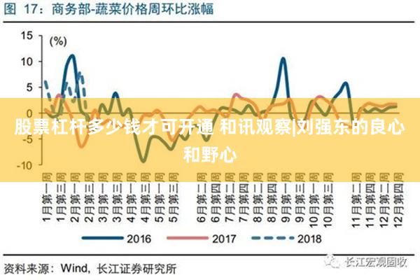 股票杠杆多少钱才可开通 和讯观察|刘强东的良心和野心